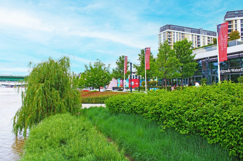 Zelenilo u Beogradu na vodi