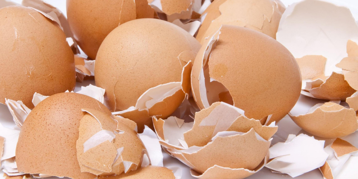 Nie wyrzucaj skorupek po świątecznych jajkach! Możesz wykorzystać je w ogrodzie
