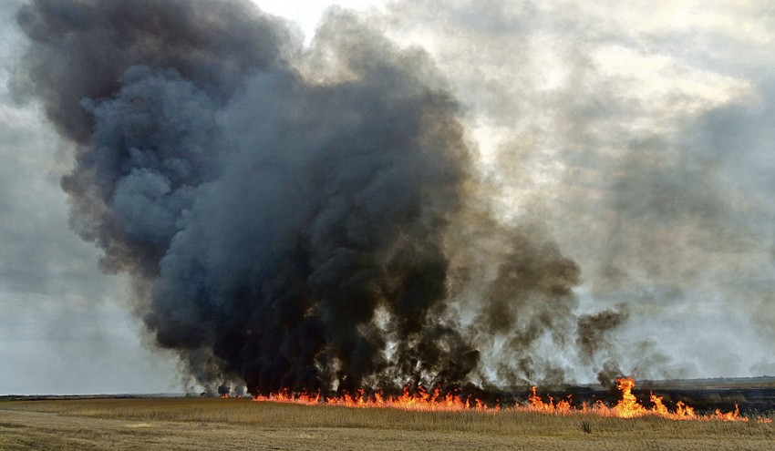 Kada je goreo Čokanski rit