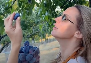 Bojana Barović