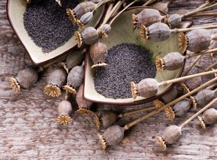 Afganistan to największy na świecie producent makowego opium i heroiny