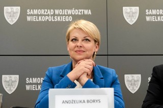 USA: Departament Stanu wzywa do uwolnienia Borys