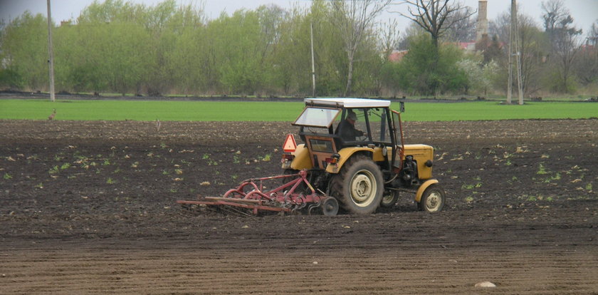 Rolnik pod Jasłem wykopał złoty skarb! Co z nim zrobił?