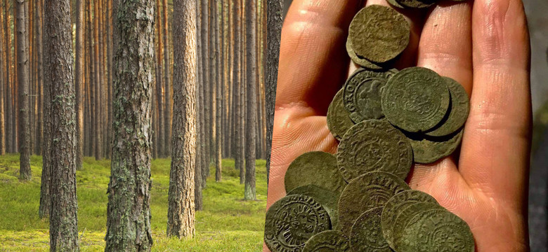 W lesie pod Toruniem znaleziono skarb. Ma ponad 500 lat