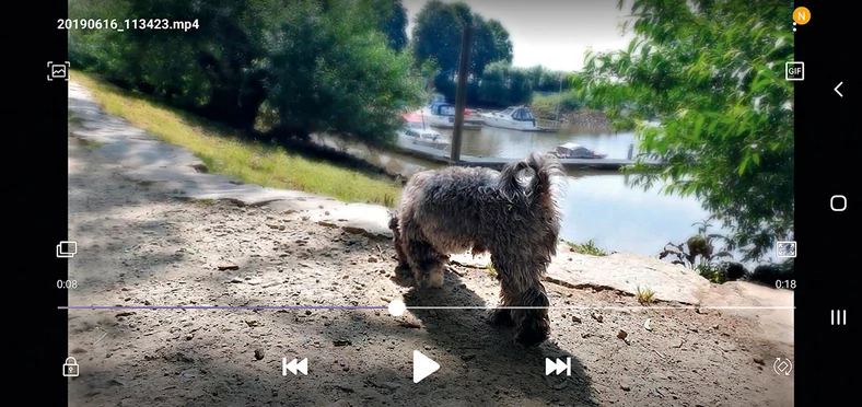 Galaxy S10 5G opcjonalnie rejestruje wideo z nieostrym tłem. To działa do momentu, kiedy motyw zanadto się oddali