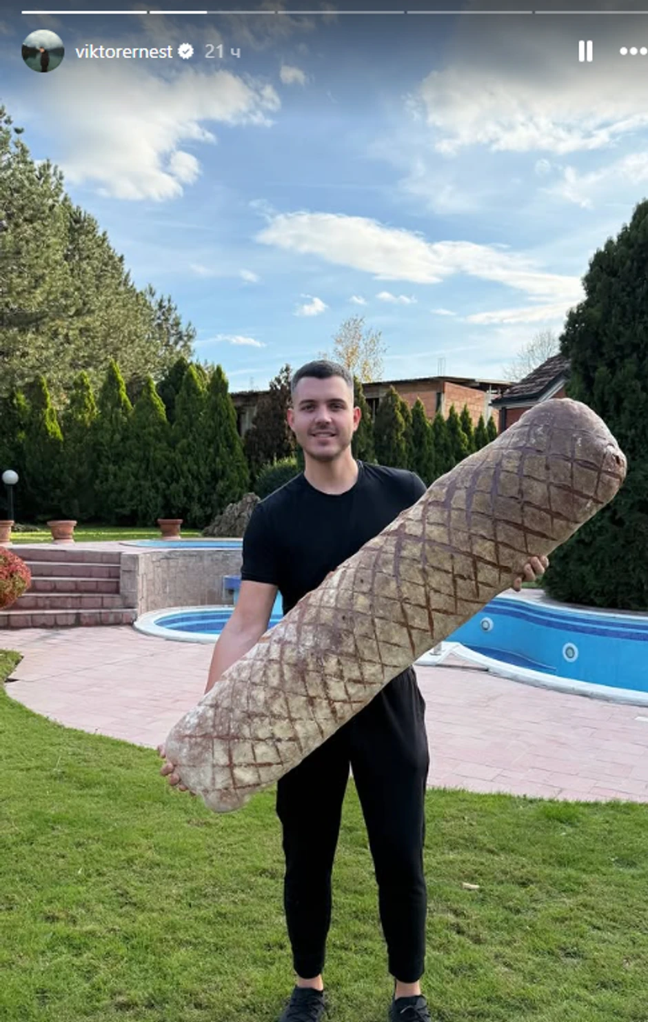 Viktor Živojinović