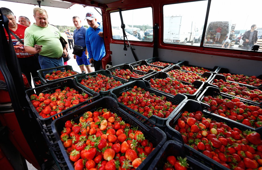 Wholesalers look at strawberries prepared for sale on a wholesale market in the village of Dvarets, Belarus June 14, 2016.