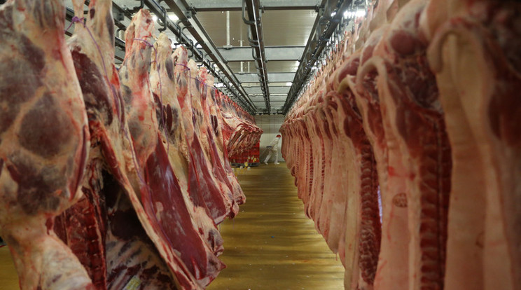 A brazil hús importját már betiltották, Szlovákiába még eljutott a fertőzött áru / Illusztráció: Isza Ferenc
