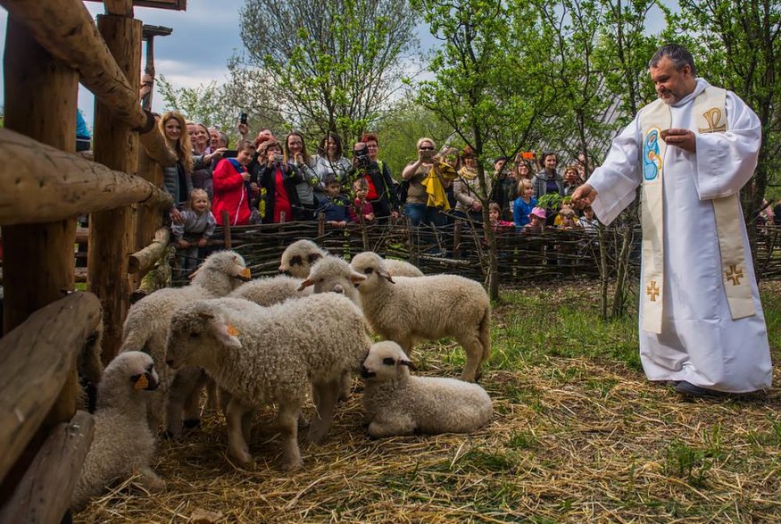 Bacówka była chętnie odwiedzana przez jaworznian