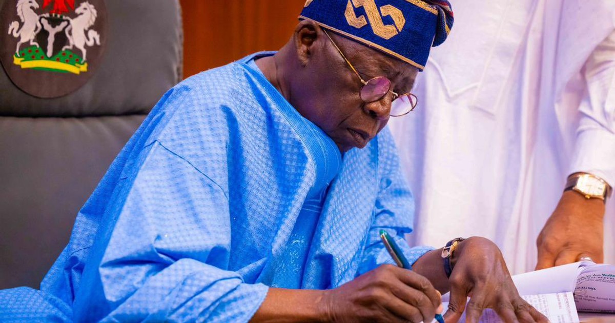 'Prioritise competence in appointment of environment minister' — CSOs urges Tinubu - Vimarsana News