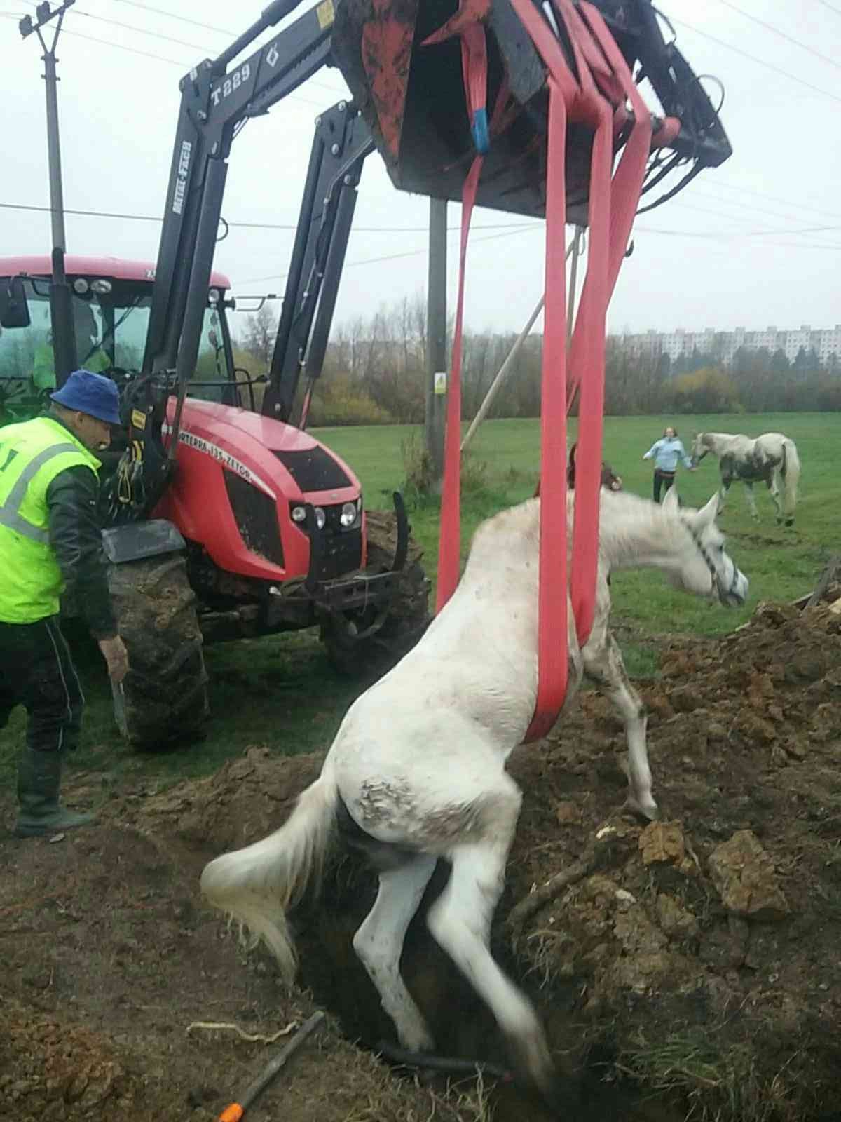 Koňom napokon pomohli hasiči.