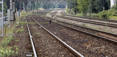 Tragedia na torach. Zginął 17-latek