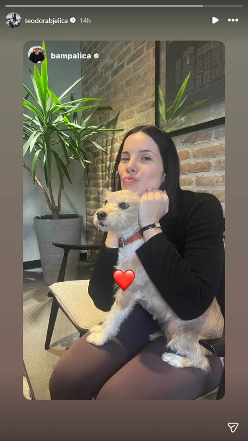 Teodora Bjelica, objava