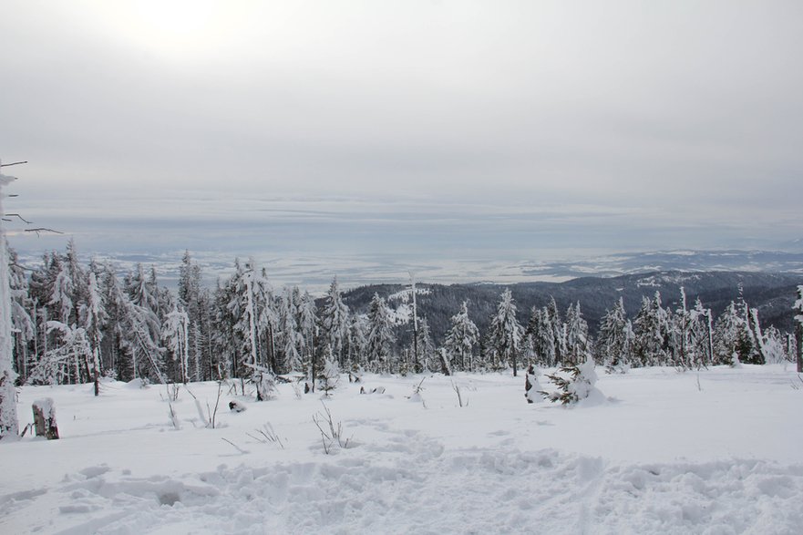 Widok ze szlaku