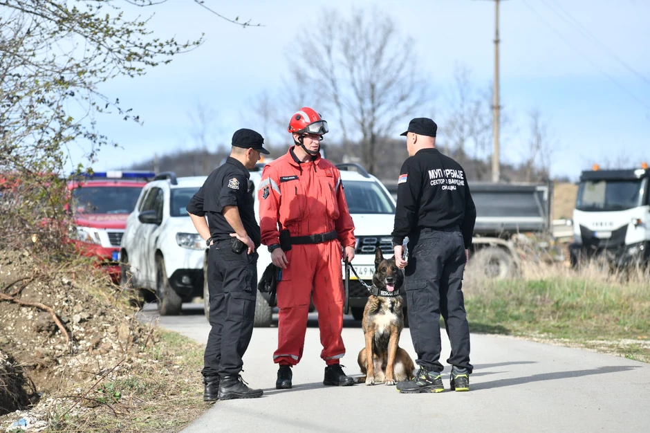 Potraga za Dankom Ilić