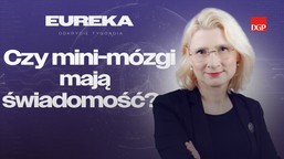 czy mini-mózgi mają świadomość? [eureka - odkrycie tygodnia]