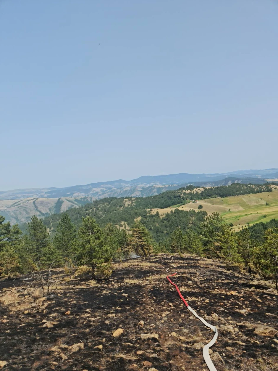 Na Crnom vrhu pod vatrom oko 100 hektara borove šume