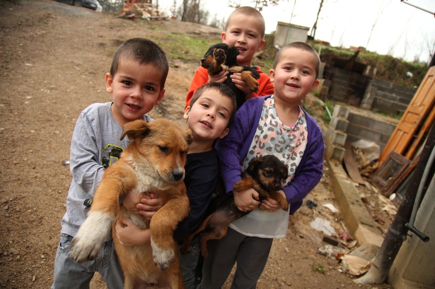 Klinci obožavaju životinje