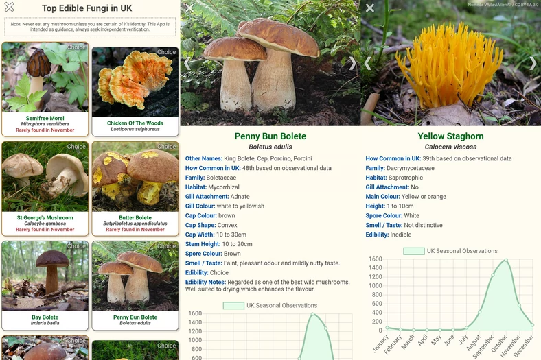 Shroomify - Mushroom Identification