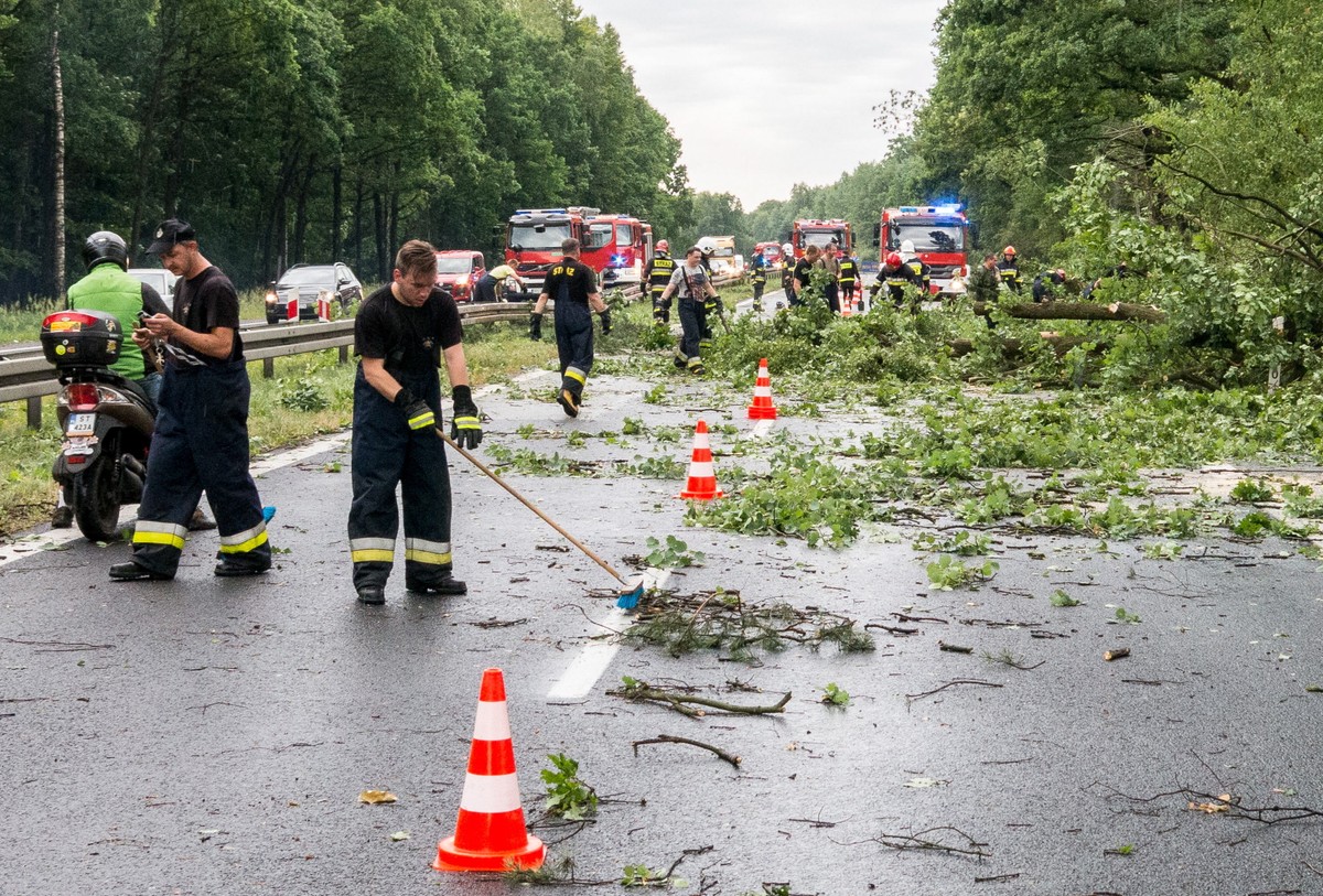 Strażacy usuwają powalone drzewa z drogi krajowej nr 1 w Piasku (woj. śląskie)