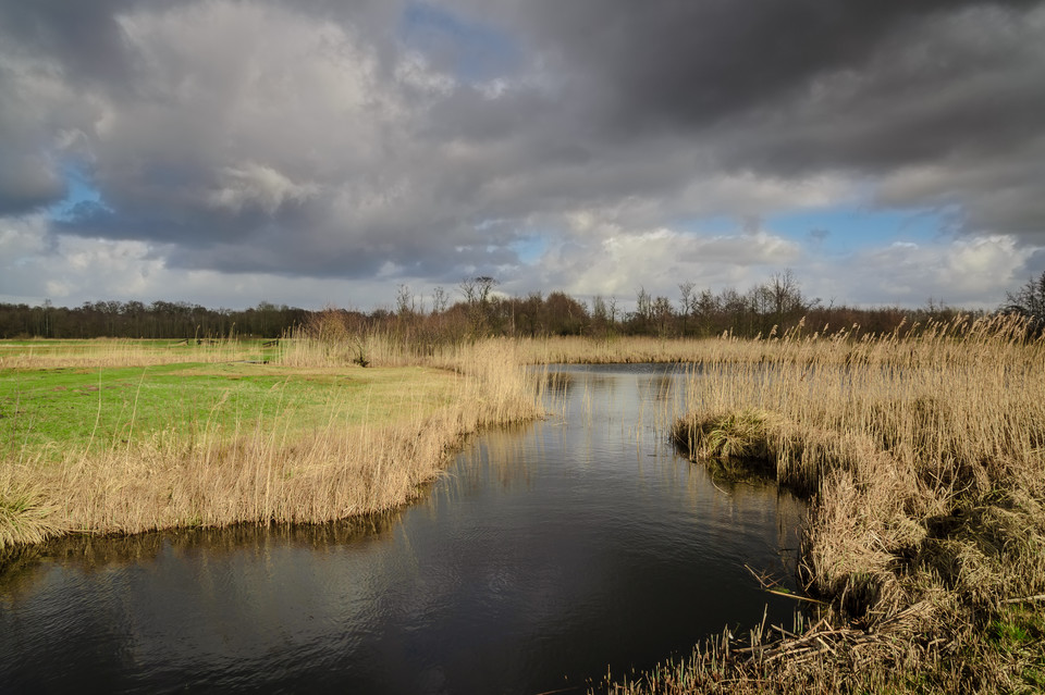 3. Park Narodowy Weerribben-Wieden, Holandia