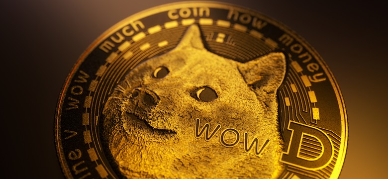Nie żyje "pieseł" z memów. Zainspirował kryptowalutę Dogecoin