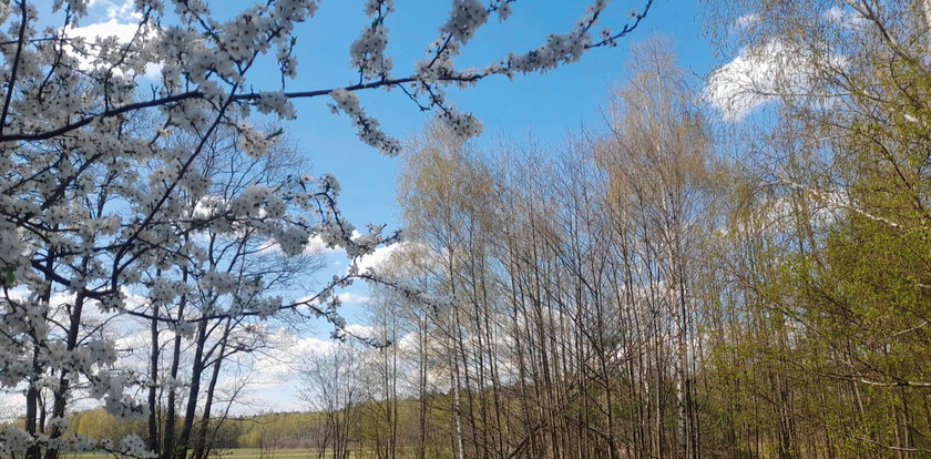 Przelotny deszcz, burze, więcej słońca i przymrozki. Jest szczegółowa prognoza na weekend dla regionów