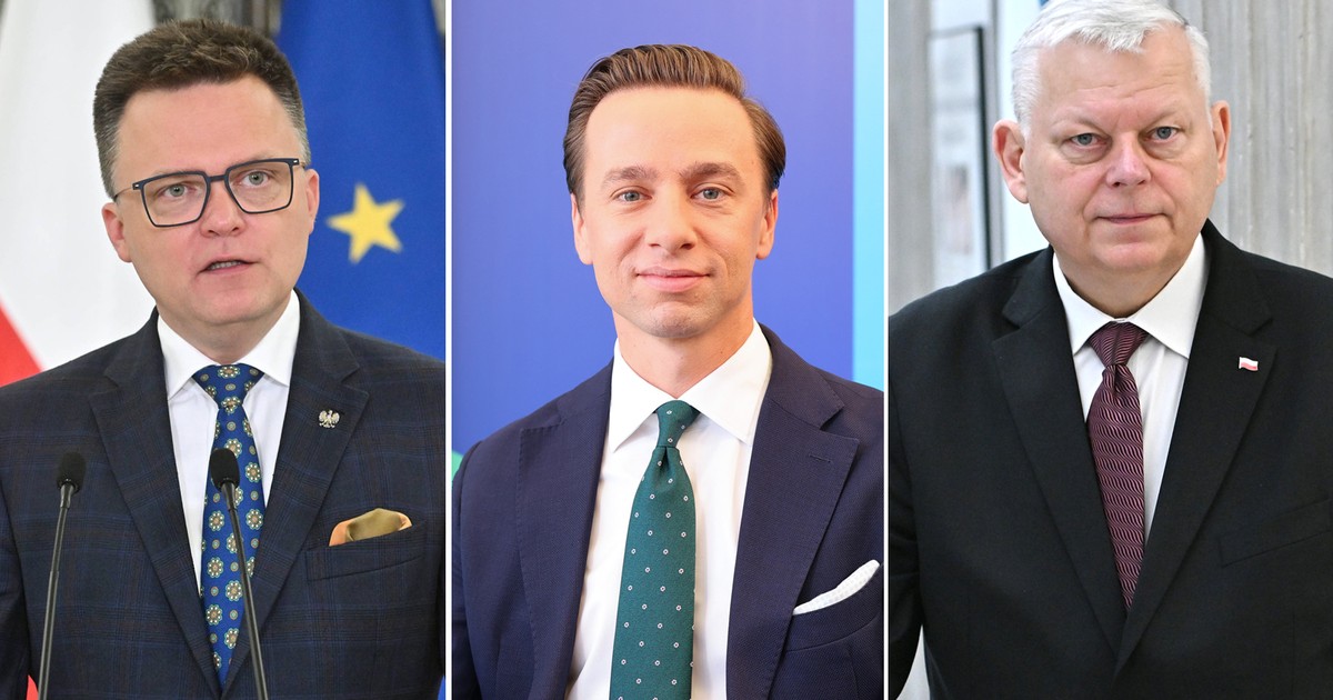 Zrobili dużą karierę. Nie uwierzysz, jakie mają wykształcenie