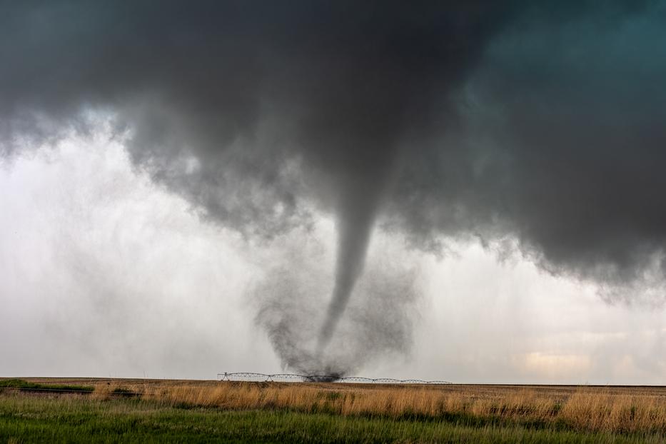 Forrás: Getty Images