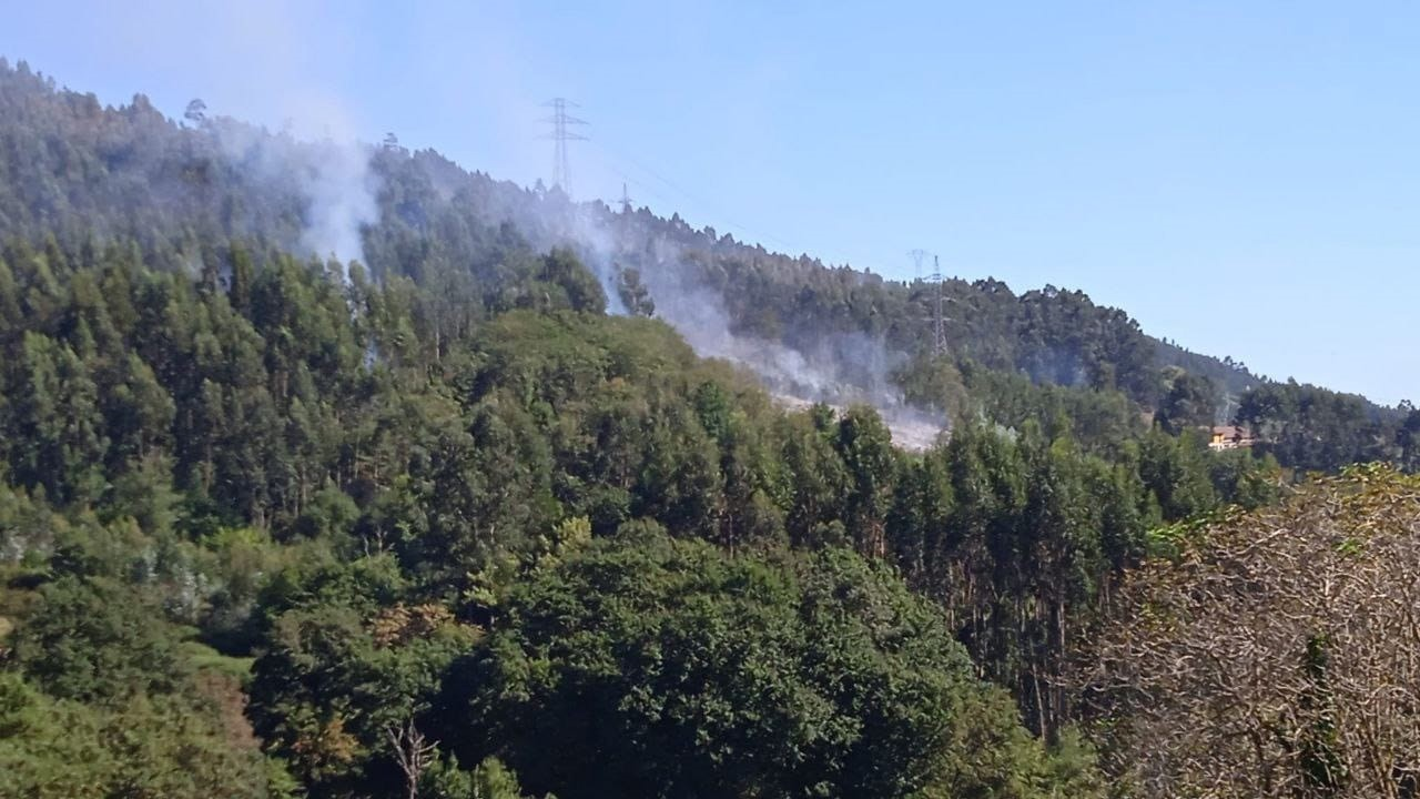 Asturias controla dos incendios tras un sábado crítico