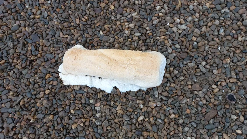 Time se privlače pacovi i druge štetočine