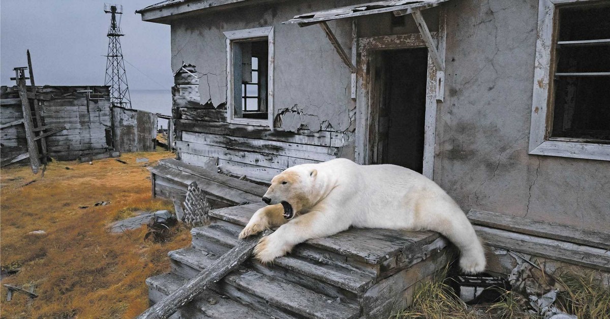 Rosja, czyli perpetuum debile [WYWIAD]