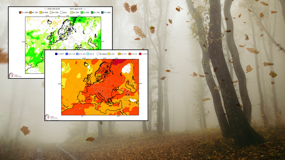 To nie będzie typowa jesień w pogodzie. Aura będzie daleka od normalnej