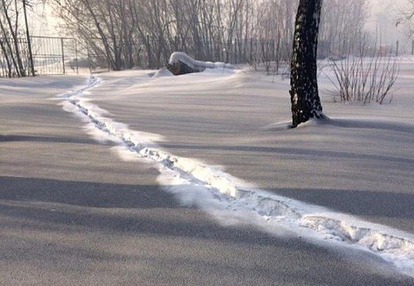 Czarny śnieg na Syberii