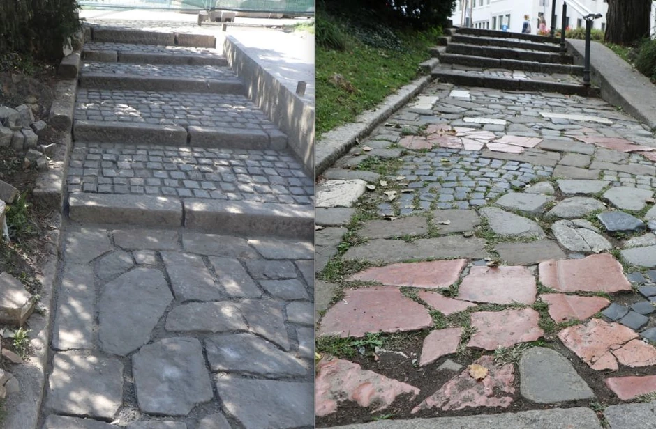 Ploče u Dunavskom parku