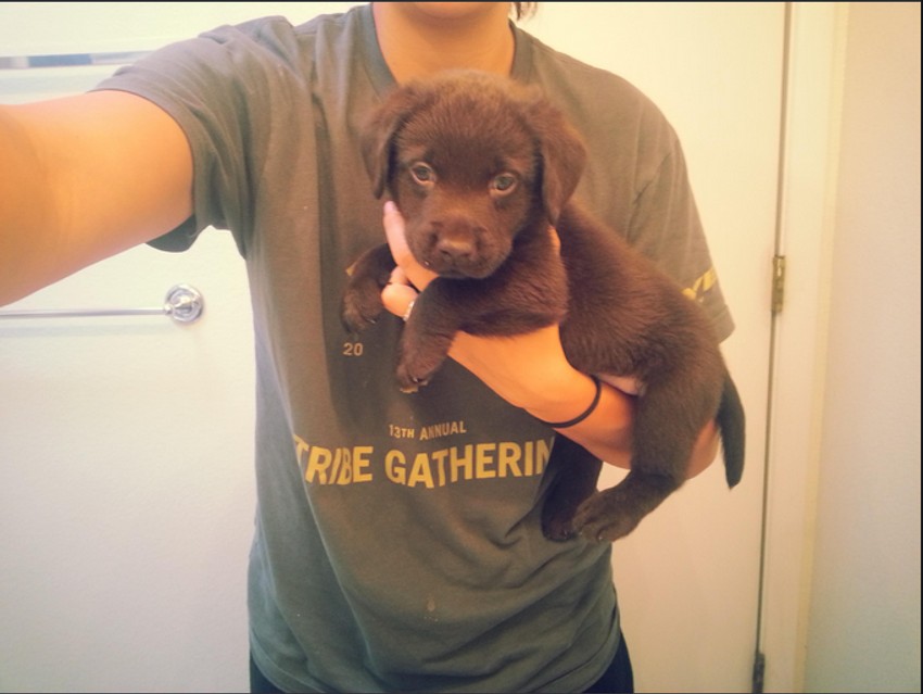 Bronson star četiri nedelje