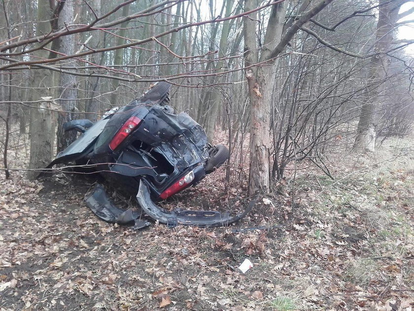 18-letni kierowca wypadł z drogi i rozbił się o drzewa