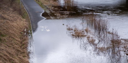 Poziomy wód w polskich rzekach nadal wzrastają. Nadchodzi powódź?