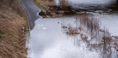 Poziomy wód w polskich rzekach nadal wzrastają. Nadchodzi powódź?