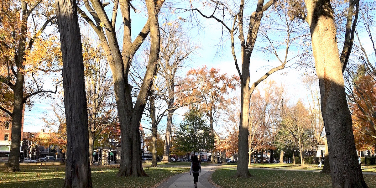 Take a tour of the charming town surrounding the No. 1 college in the US