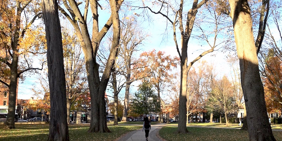 Take a tour of the charming town surrounding the No. 1 college in the US