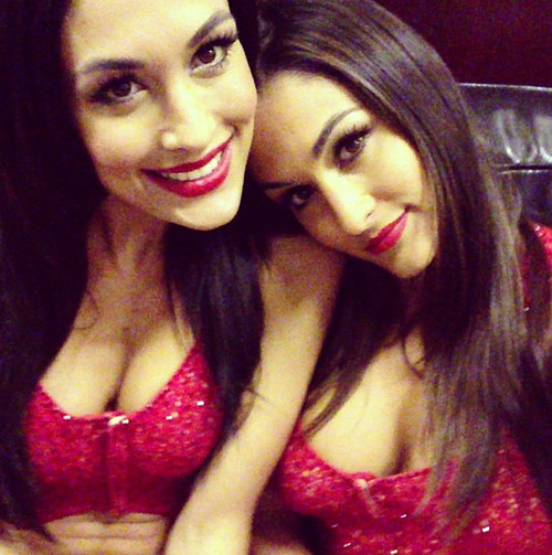 The Bella Twins