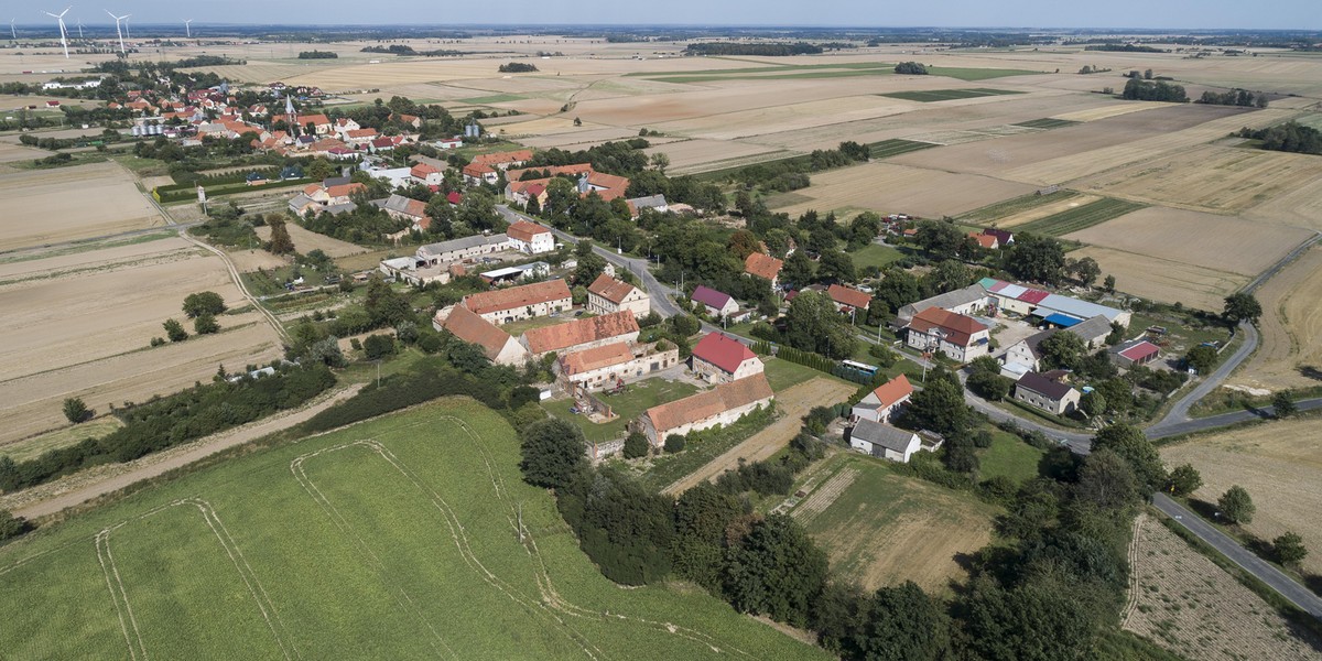 Gorączka złota pod Legnicą