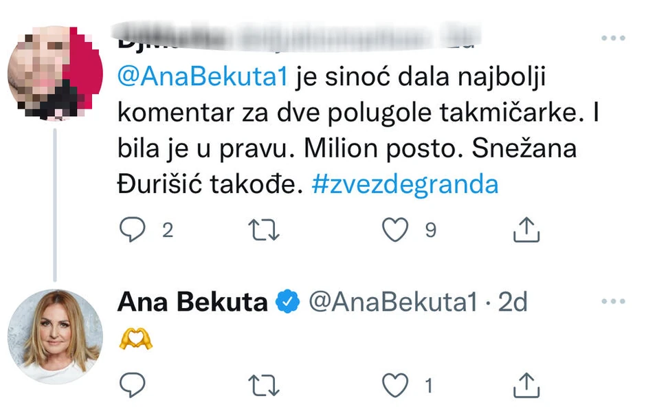 Ana Bekuta - Tviter