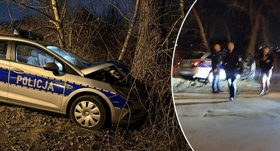 Policjanci zabrali do radiowozu dwie nastolatki. Po chwili z impetem uderzyli w drzewo. Nowe fakty