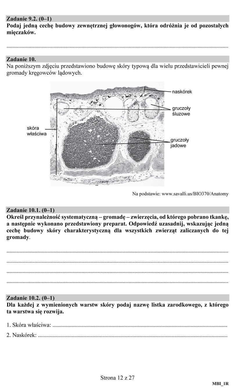 Matura 2018: Biologia. Odpowiedzi i Arkusze CKE. Biologia