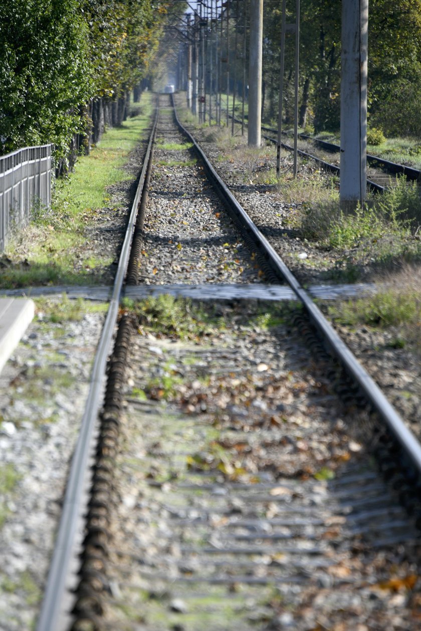 Hałas na Kosmonautów