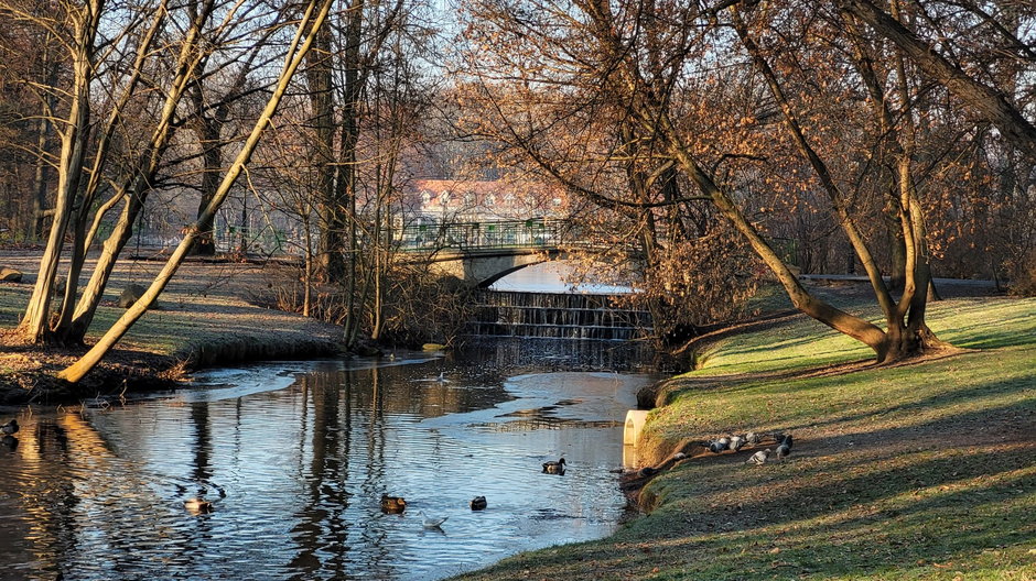 Rzeka Bogdanka w parku Sołackim, w tle parkowy staw