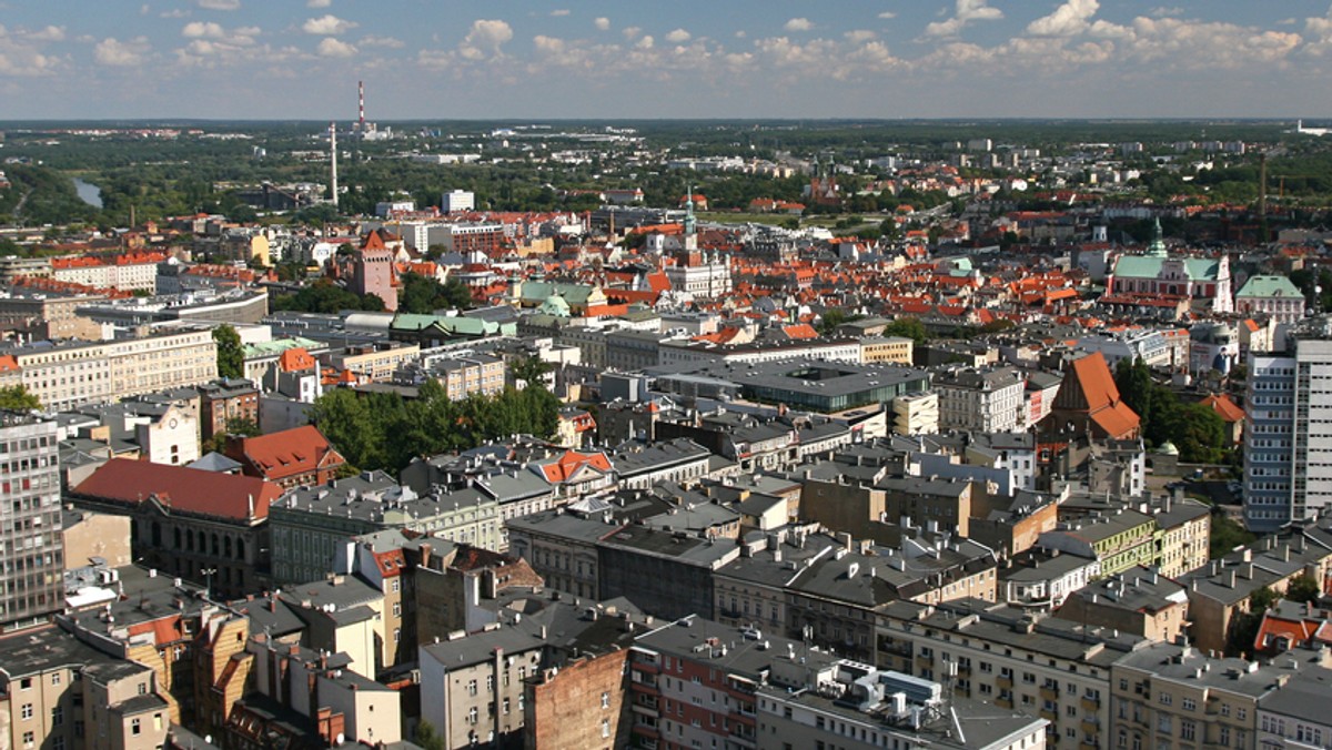 Wycinki drzew w Poznaniu. Protest mieszkańców