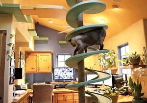 565483_macke-foto-youtube-houzztv